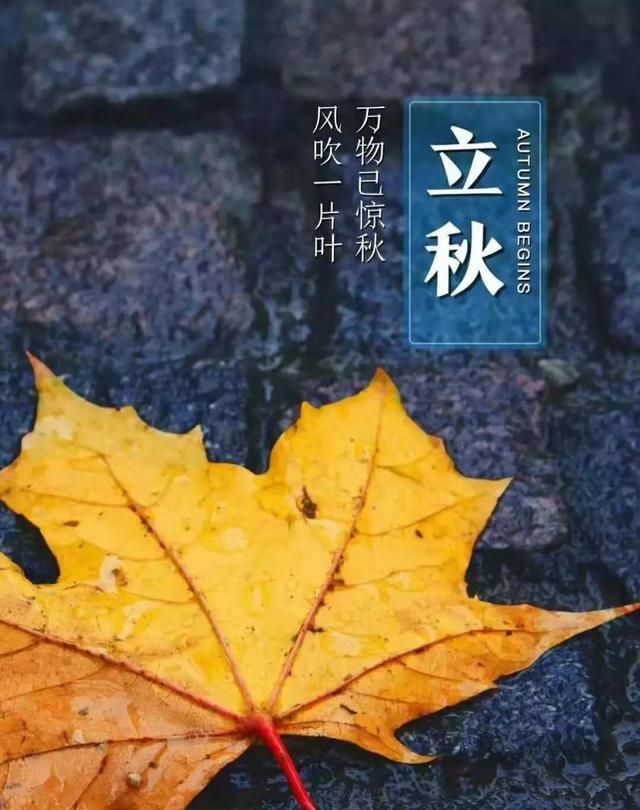 俗语“早立秋冷嗖嗖，晚立秋热死牛”，21年是早立秋还是晚立秋？