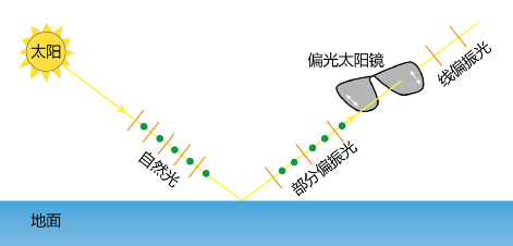 为什么这种太阳镜可以防眩光？