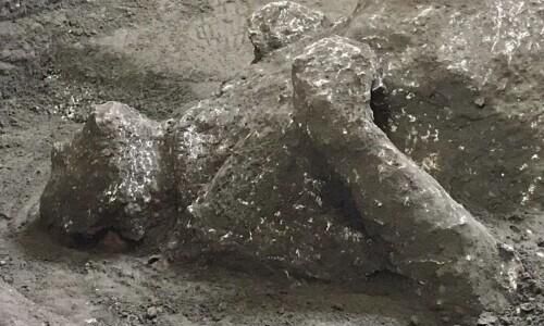 庞贝古城惊现2000年前死于火山喷发的两具遗骸