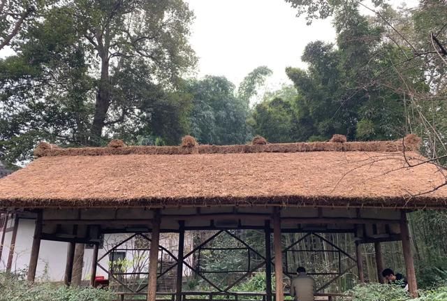 实拍：成都杜甫草堂的茅草屋—繁华都市里的田园诗意氛围