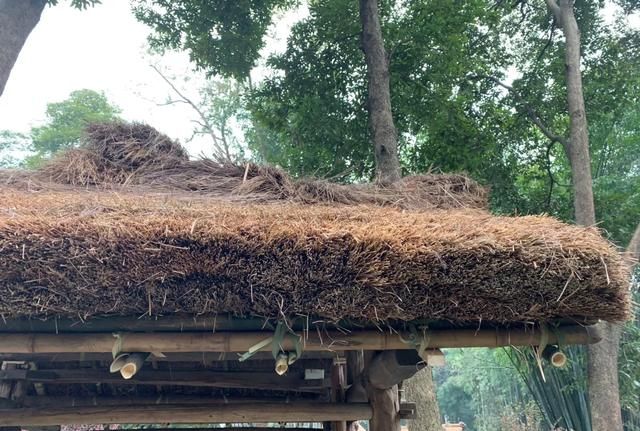 实拍：成都杜甫草堂的茅草屋—繁华都市里的田园诗意氛围