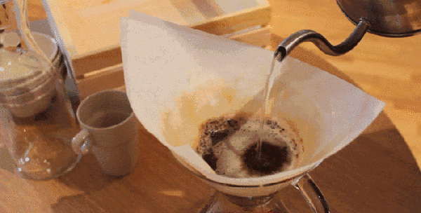 猫屎咖啡令人着迷 但你知道它是怎么来的吗？