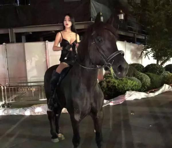 女子深夜闹市骑马博关注，上海警方：行政警告
