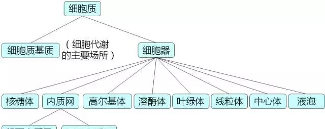 细胞质基质中有dna吗，细胞质基质里有没有DNA图1