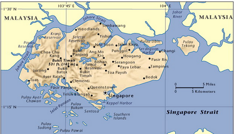 新加坡大屠杀图1
