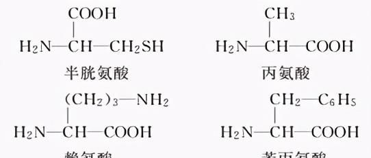 2021届高三生物二轮复习检测练  细胞的基本结构