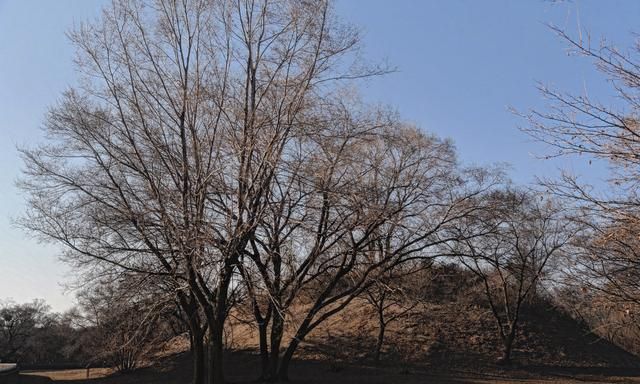 清朝创始人的陵寝，竟成辽宁沈阳城区最大的公园，分三段售卖门票