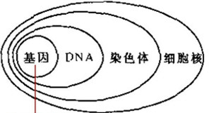 初中生物知识点总结