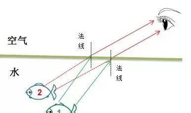 老狗啃物理8A.33（光的折射）