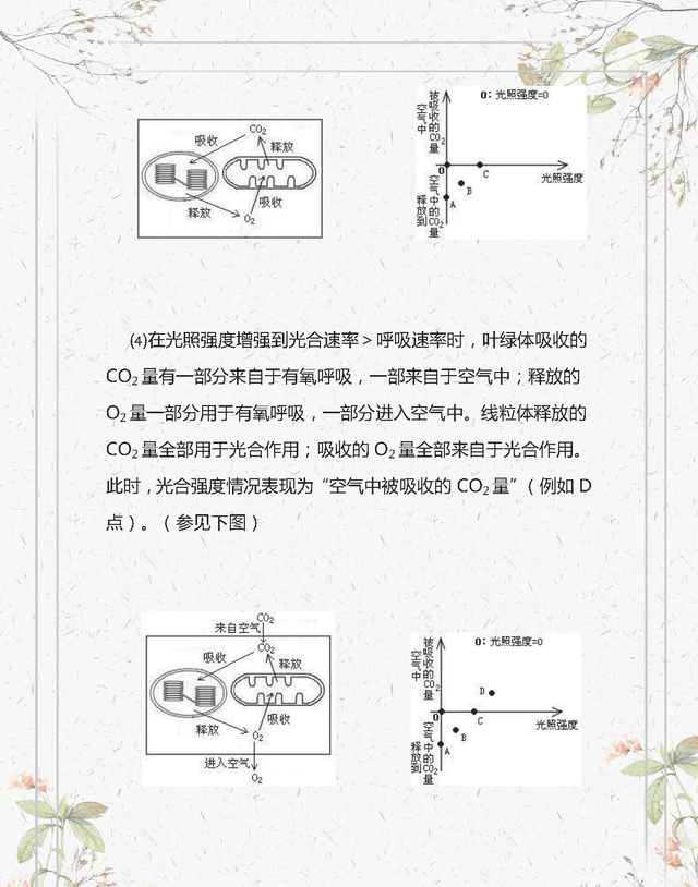 初中生物：光合作用和呼吸作用的知识点图解，考试重点！要记熟