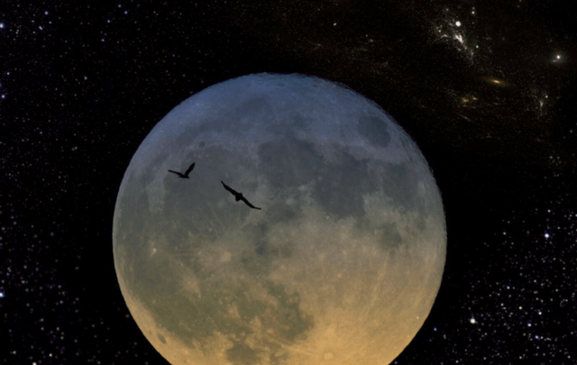 嫦娥四号红色月面照VS阿波罗死灰色照片，真能证明美国登月造假？