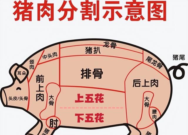 买五花肉，要分清“上五花”和“下五花”，差别挺大，搞懂再花钱