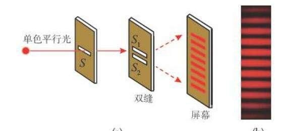 这个知识点让你高考光的波动性得六分！｜楠叔物理