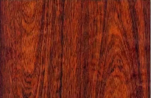 欧标建材｜木材的来源——巴西
