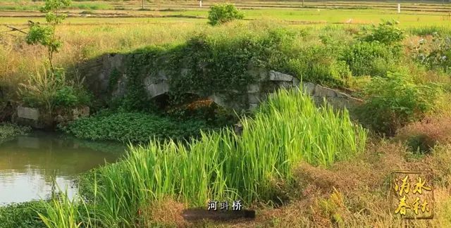 历经铺、夏铎铺......宁乡这些“铺”的由来你都知道吗？