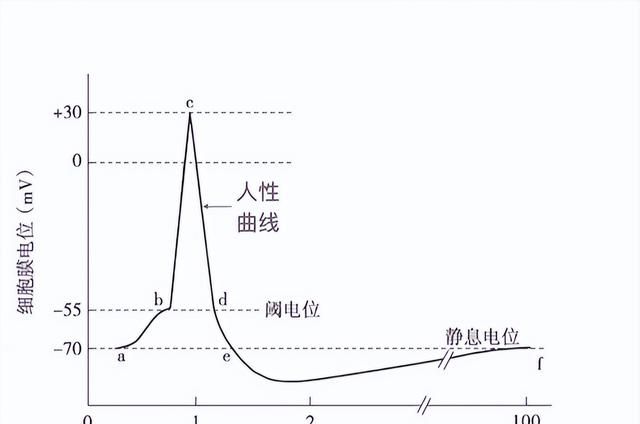 函数——数学带给世界最好的礼物