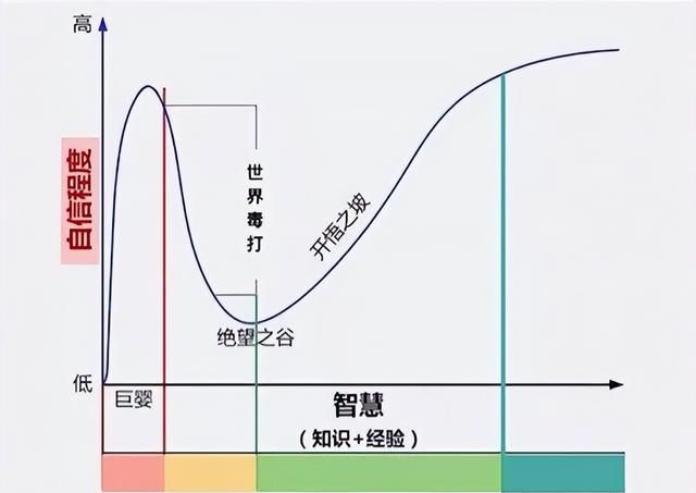 函数——数学带给世界最好的礼物