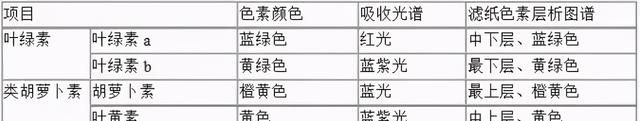 高中生物：40张表理出重要知识点