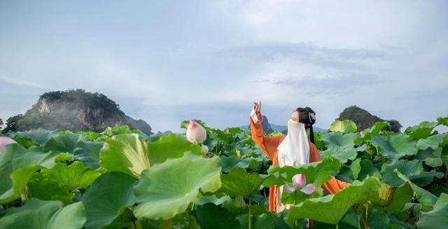 泸州民间故事：荷花的来历，一段凄美的爱情，堪比梁祝让人惋惜