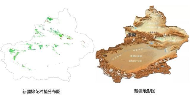 为什么地处我国西北地区的新疆，是世界上优质的棉花产区？