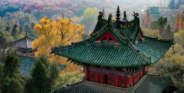 千年古刹少林寺首次免门票，赶快行动吧，我在少林等你来