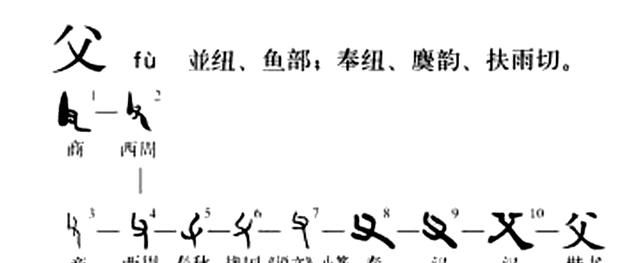 汉字探源：父字本义真的是父亲吗？