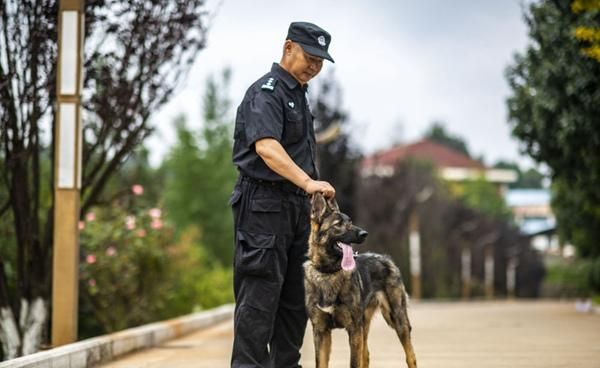 我国首只警用工作克隆犬“昆勋”入警