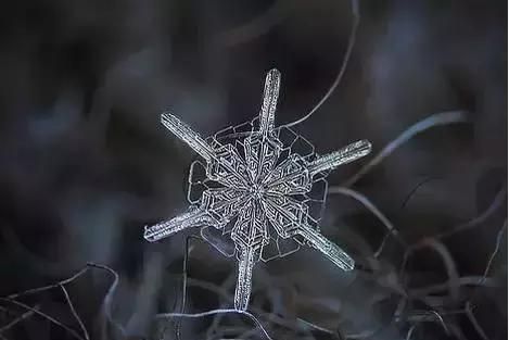 雪花的形状见过吗？你不知道的九种雪花形状