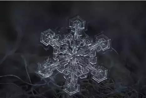 雪花的形状见过吗？你不知道的九种雪花形状