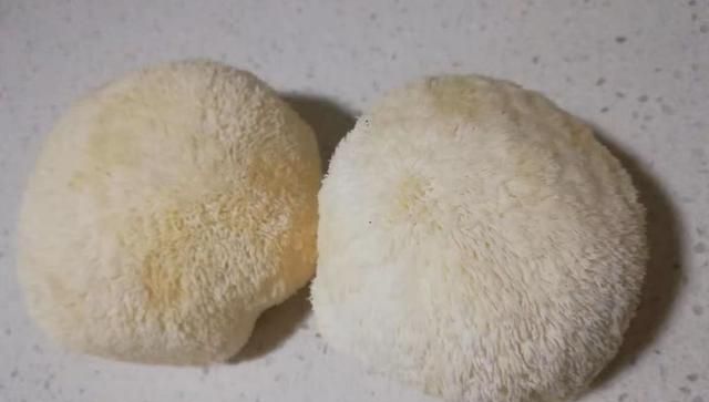 菌菇中的“爱马仕”!它是天然的“养胃宝”，建议中老年人多吃