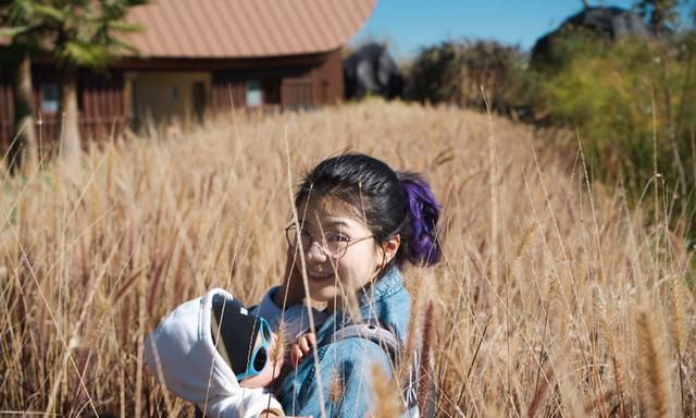 「昆明古滇验客」有一种季节，叫做四季如春