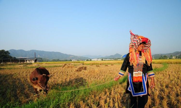 惠州蓝田瑶族风情园图12