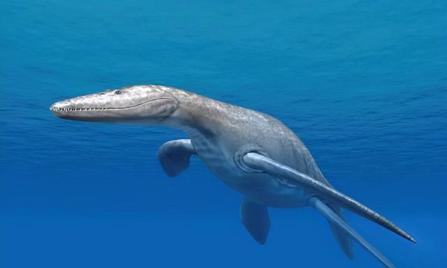 1977年，日本捕鱼船捞起的“海怪”尸体，是全球最后的蛇颈龙吗