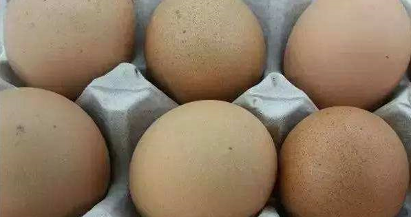 鸡蛋人工孵化十大要点，掌握好助你养殖无忧