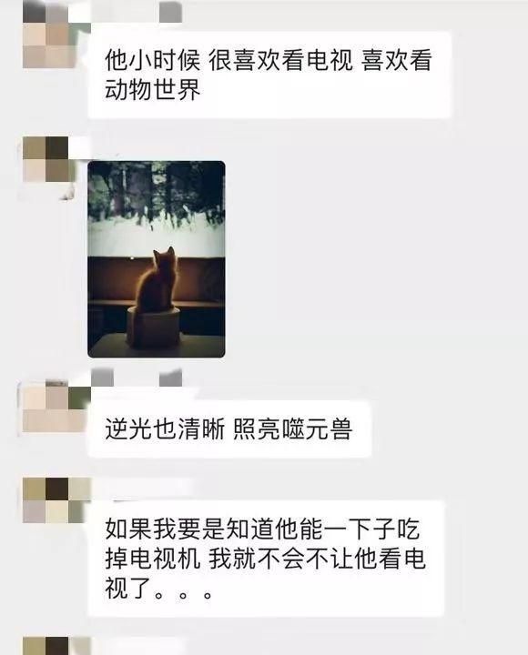 比漫威英雄更吸睛的它：一切都要以“大橘为重”！