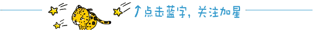 所有猎豹都是近亲繁殖的产物，但它们却没有灭绝