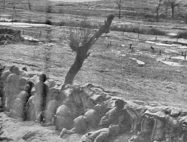 1948年塔山阻击战（三）：主力纵队血战6天，伤亡了多少人？