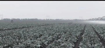 传说中的世界末日，天灾不断六月暴雪，整整20万人被活活冻死