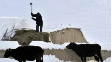 传说中的世界末日，天灾不断六月暴雪，整整20万人被活活冻死