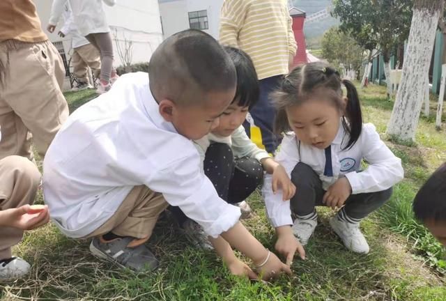 东阳市南市中心幼儿园：小小种子，大大梦想