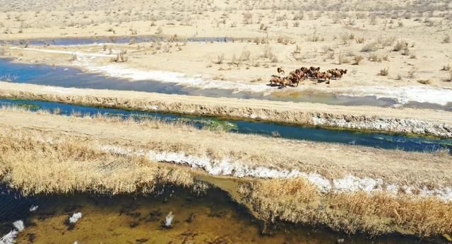 准噶尔盆地里有沙漠，为何说北疆不怎么缺水？