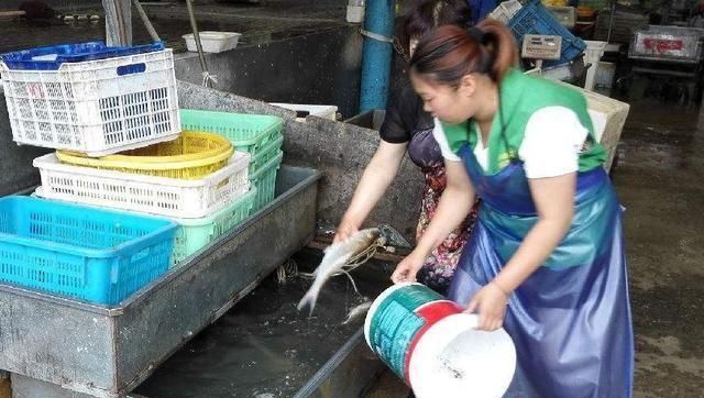 菜市场没人买的“死鱼”，鱼贩们都是这样处理的，实在让人佩服