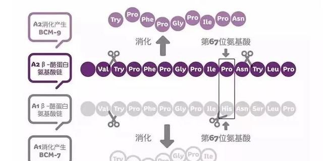 喝这么多年a2奶粉了，还搞不懂A2你就OUT了