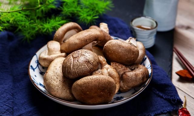 蘑菇配什么菜最好吃？分享4种不同做法，鲜香滑嫩，顿顿吃光盘