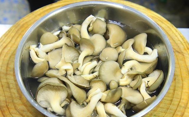 蘑菇配什么菜最好吃？分享4种不同做法，鲜香滑嫩，顿顿吃光盘