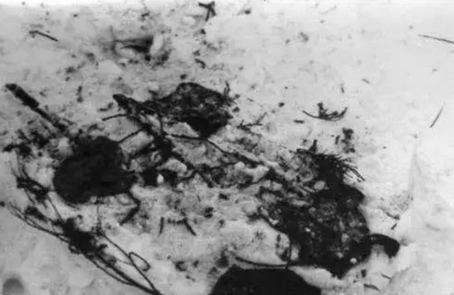 1959年9名青年登山死亡，相机留奇怪照片，事故档案被当绝密封存