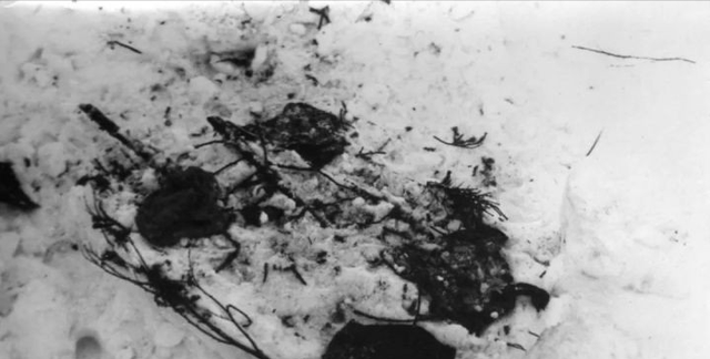 9名青年雪山离奇死亡，相机记录下诡异照片，迪亚特洛夫事件真相