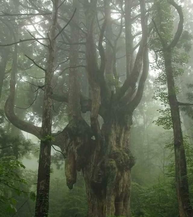 44张让人细思极恐的照片