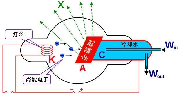 你看这些“UFO”，它们又大又圆，不如我们...