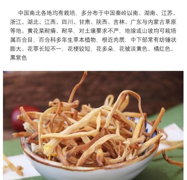 邵东县黄花菜种质资源与传统栽培技术要点